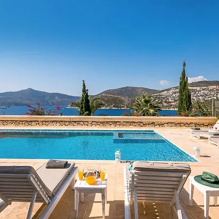 Kral 호텔